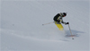 fresh powder skiing in adelboden